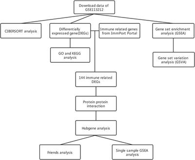 Immune cell infiltration and the genes associated with ligamentum flavum hypertrophy: Identification and validation